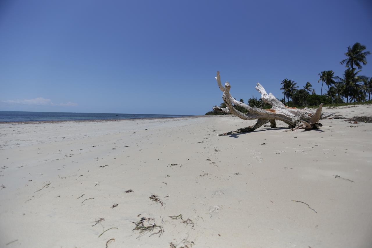 The Beach Crab Resort Pangani Εξωτερικό φωτογραφία